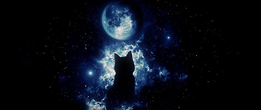 2560x1080 고양이, 실루엣, 달, 별이 빛나는 하늘, 판타지 달빛 HD 월페이퍼