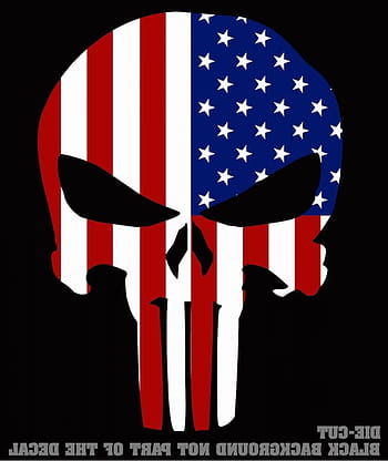 Download Raiders Logo With USA Flag On Skull Wallpaper  Wallpaperscom