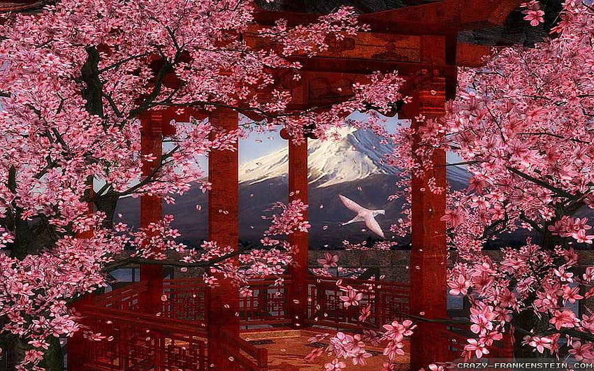 Japanese flowers HD wallpaper | Pxfuel