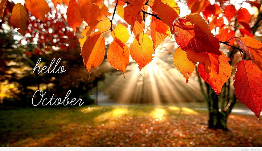 Hello October Fall Quotes, fiery autumn HD wallpaper