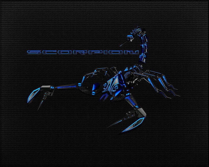 Black, scorpion HD wallpaper