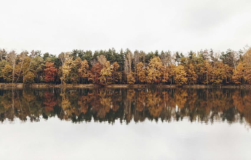 autumn, reflection, fall, cloudy, riverside, fall, fall colors reflection HD wallpaper