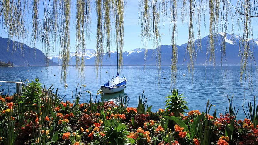Wiosna nad Jeziorem Genewskim, Montreux, Szwajcaria, Jezioro Montreux Szwajcaria Tapeta HD