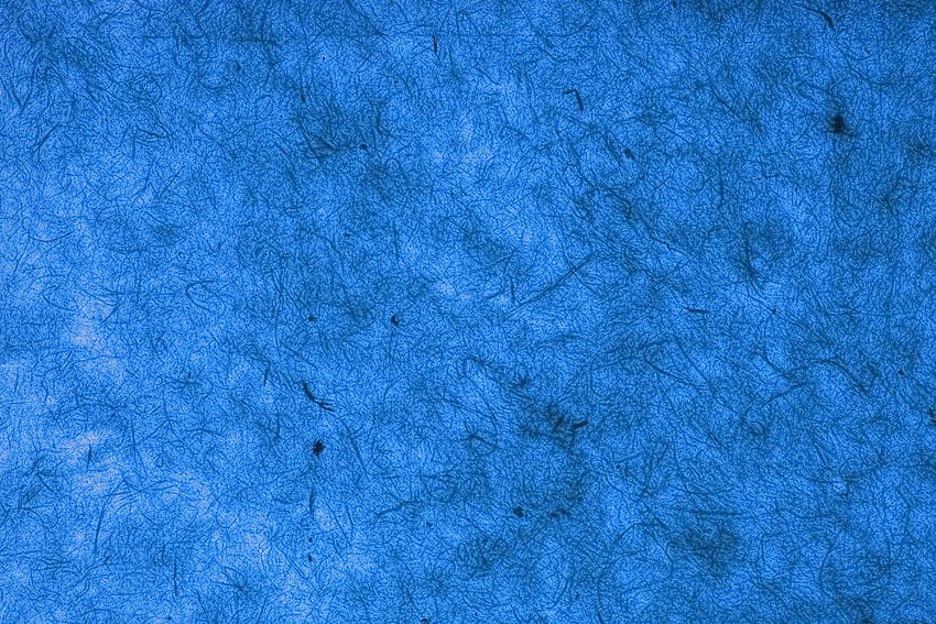 Latar Belakang Bertekstur Biru Muda, tekstur latar belakang biru langit Wallpaper HD