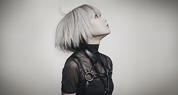 Reol Hd Wallpapers Pxfuel