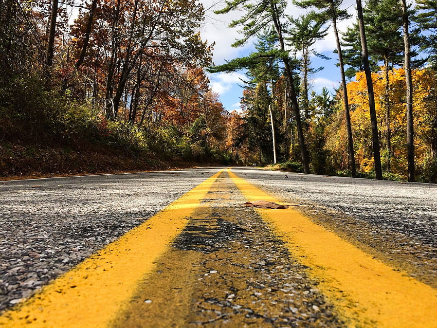 Low Angle Shot Of Road Scenery HD wallpaper