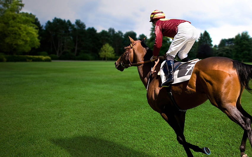 Vollständige Pferderennen und Hintergründe, Jockey HD-Hintergrundbild