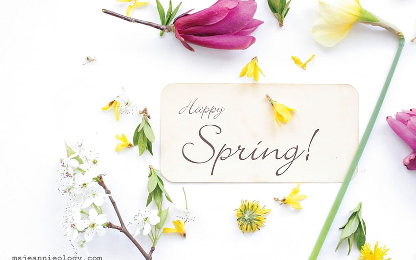happy spring day HD wallpaper