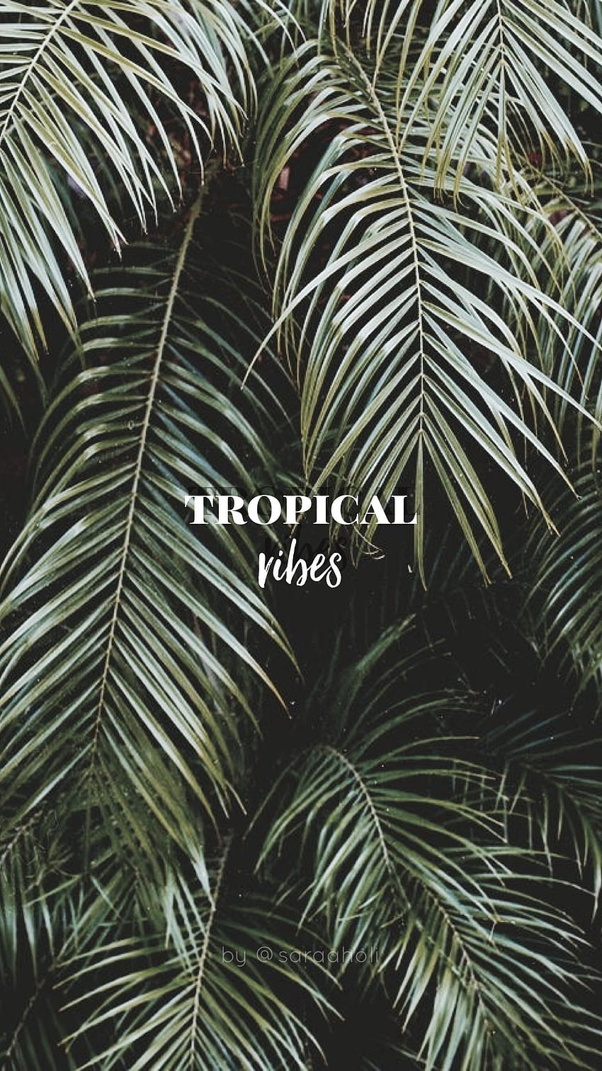 Tropical vibes Обои на айфон Растения, scratch screen на телефон HD тапет за телефон