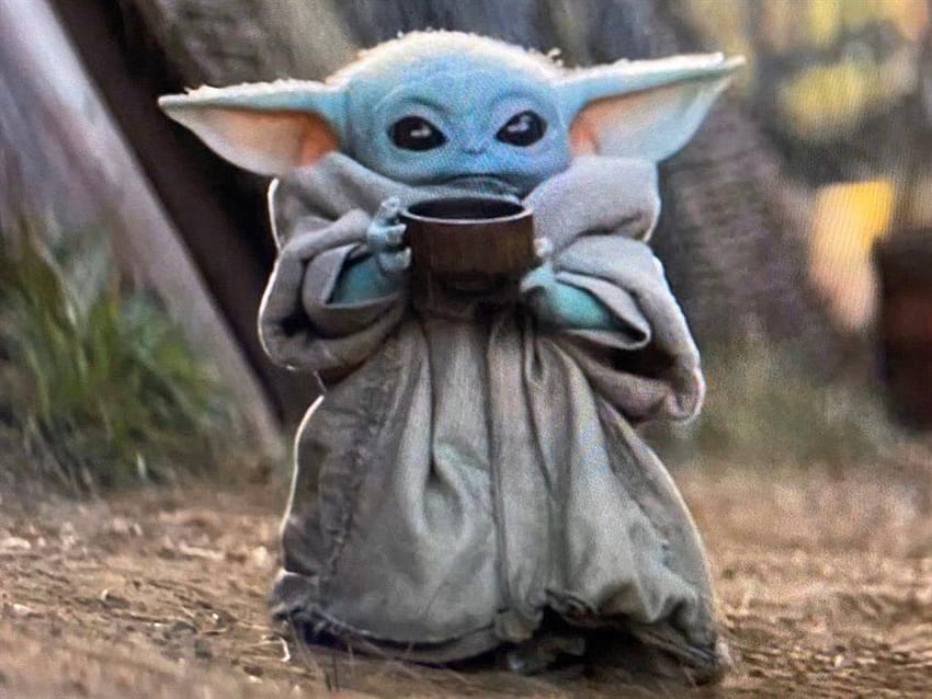 O famoso linguista Noam Chomsky não sabe quem é Baby Yoda, muito obrigado, baby yoda mexicano papel de parede HD