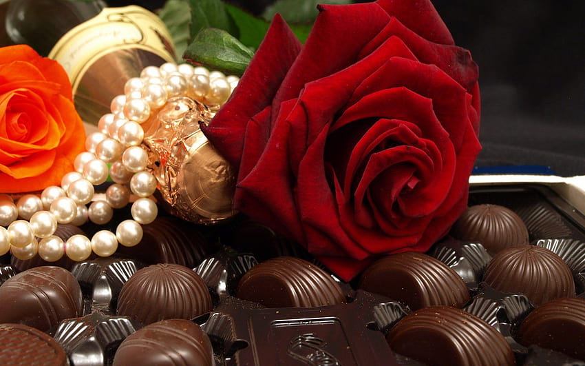 Chocolate and red rose HD wallpapers | Pxfuel