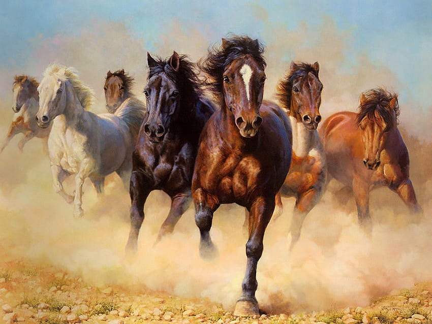 Marris Bonnie Thunder An, cavalos de trovão papel de parede HD