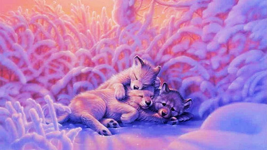 Fox and Wolf, cute wolfs HD wallpaper