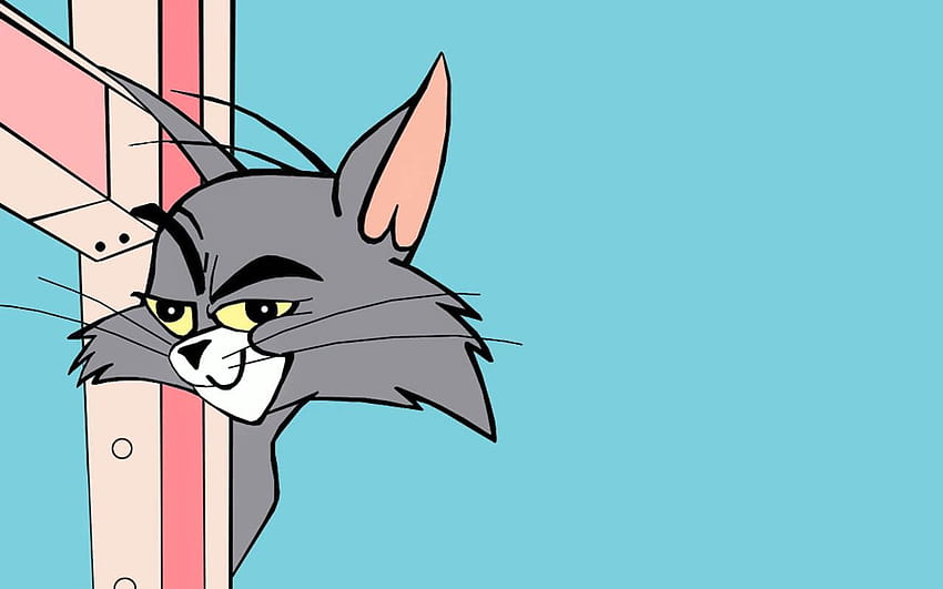 Tom Funny, tom and jerry memes HD wallpaper