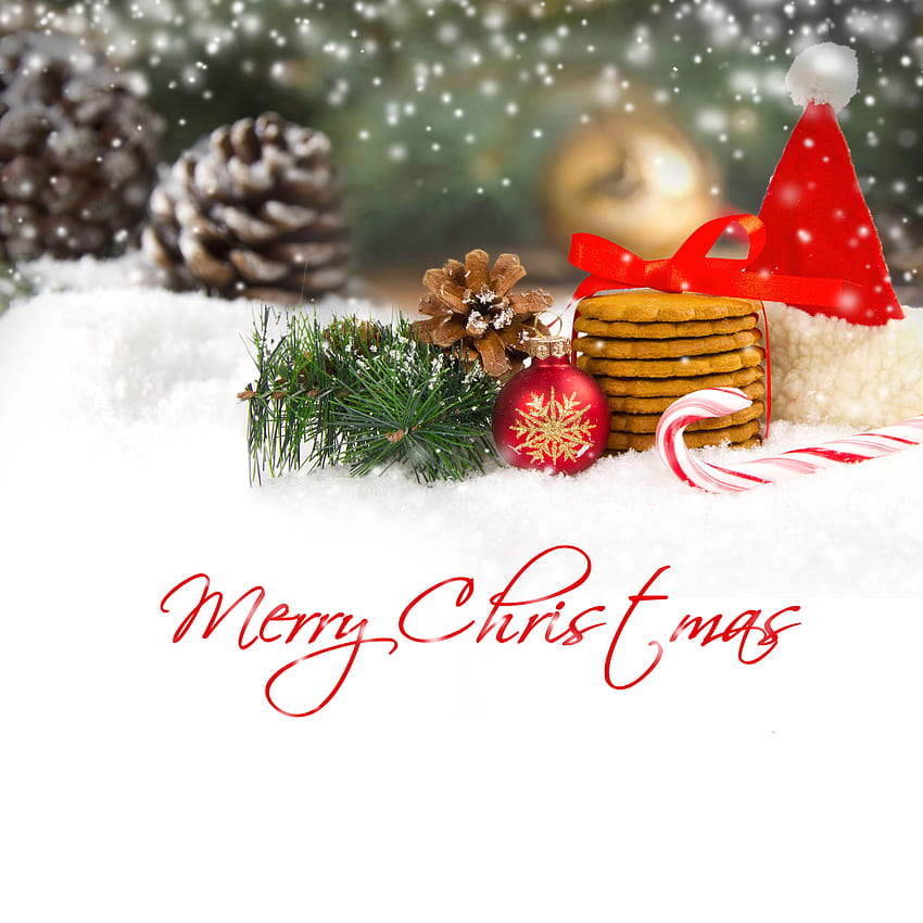 Merry Christmas Backgrounds with Pine Cones, merry christmas pine HD phone wallpaper