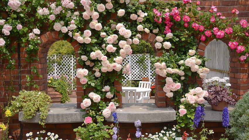 Patio lleno de flores, beautiful rose garden HD wallpaper