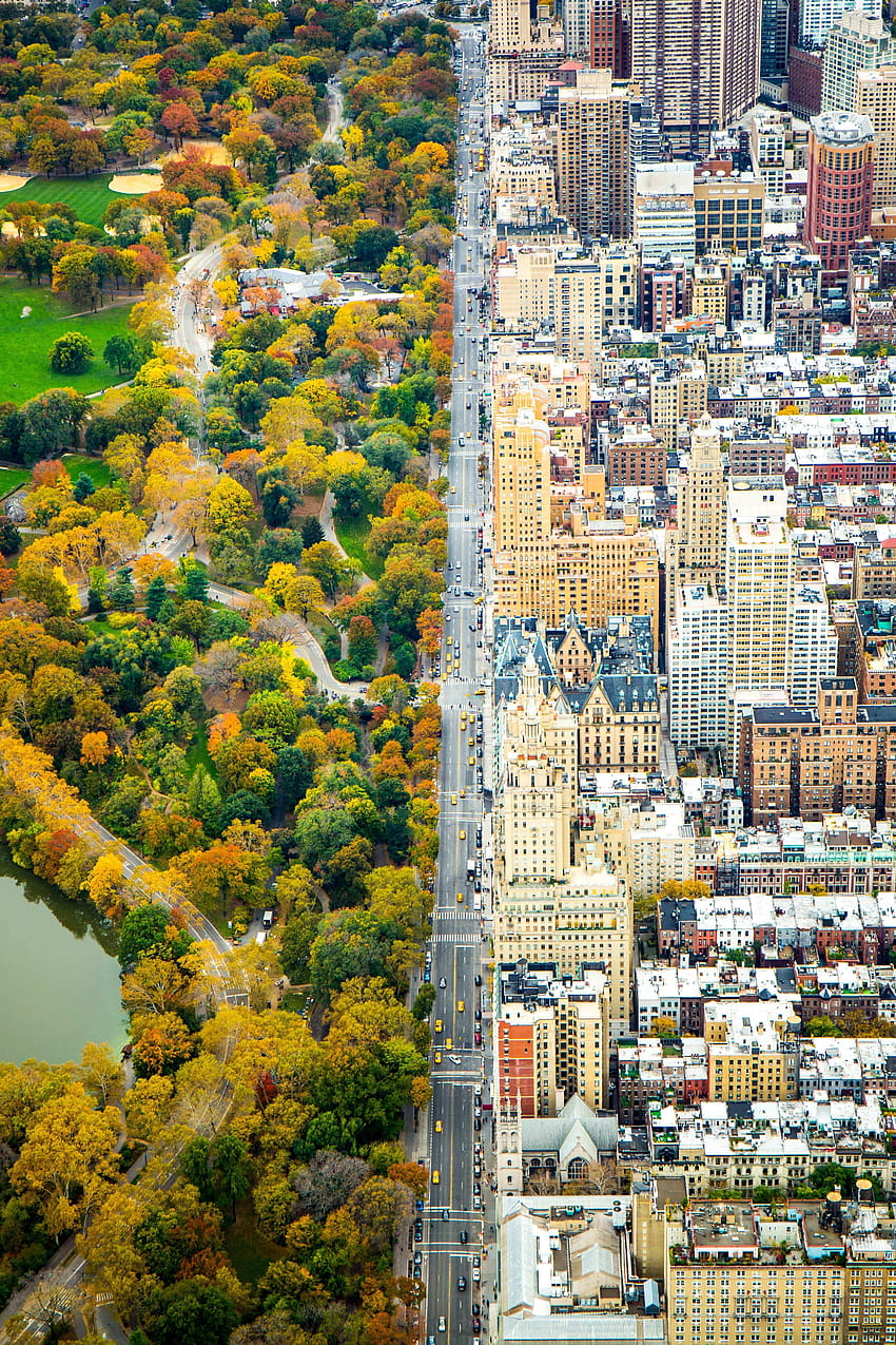 นิวยอร์กซิตี้และเซ็นทรัลปาร์คครึ่งต่อครึ่ง ฤดูใบไม้ร่วงที่สวยงาม หุ่นยนต์กลางสวน วอลล์เปเปอร์โทรศัพท์ HD