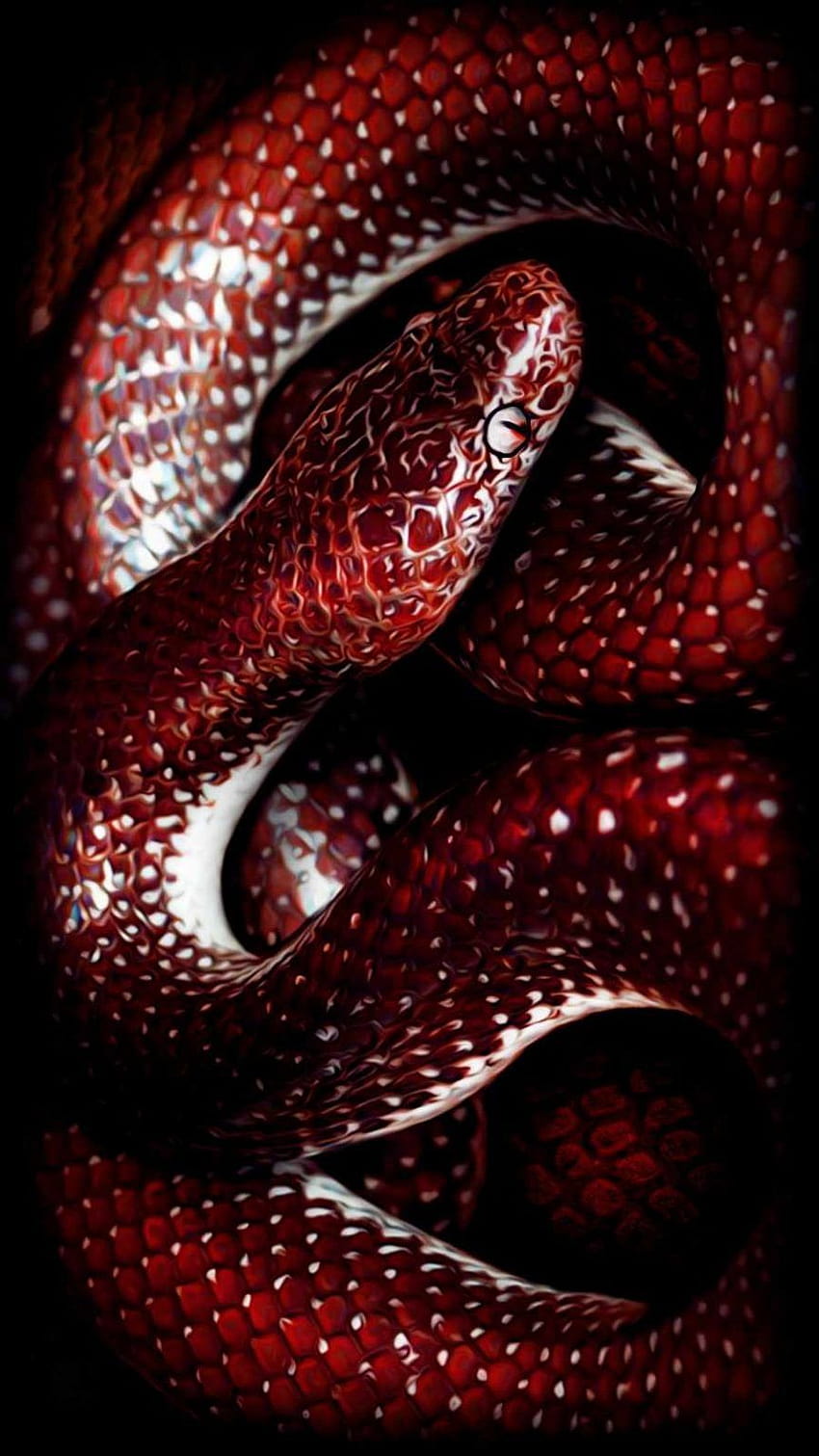 Animal, snake art iphone HD phone wallpaper