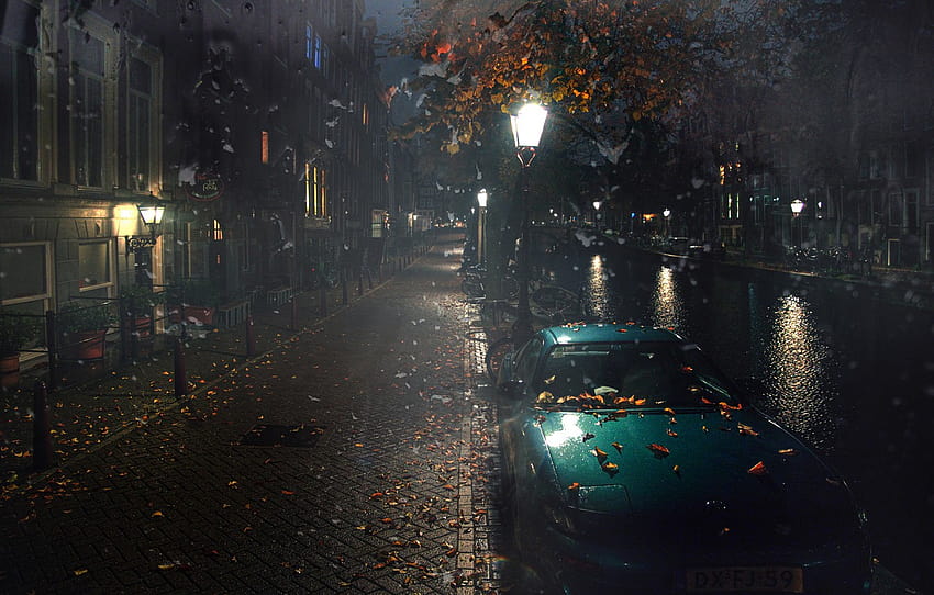 auto, autumn, leaves, water, night, rain, street, Amsterdam, lights, Gordeev Edward , section город, rainy autumn city HD wallpaper
