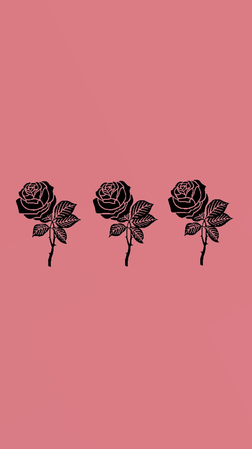 Roses, human made HD phone wallpaper