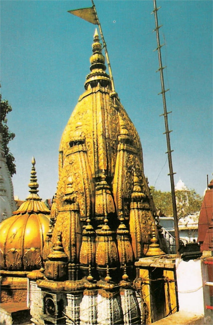 カシ ヴィシュワナート寺院、バラナシ、ウッタル プラデーシュ州、インド、 HD電話の壁紙