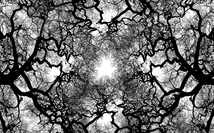 tree branch veins, tree branches HD wallpaper