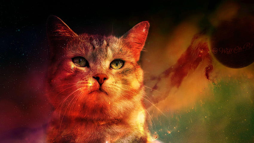 Cat In Space Digital Art Planet , 動物, 宇宙の猫 高画質の壁紙