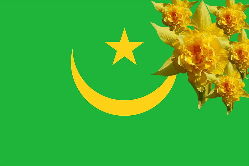 Grüne Blumen, Flaggen, Mond und Sterne, gelbe Blumen, 1600 x 1067, hohe Qualität, hohe Auflösung, grüne Flagge HD-Hintergrundbild