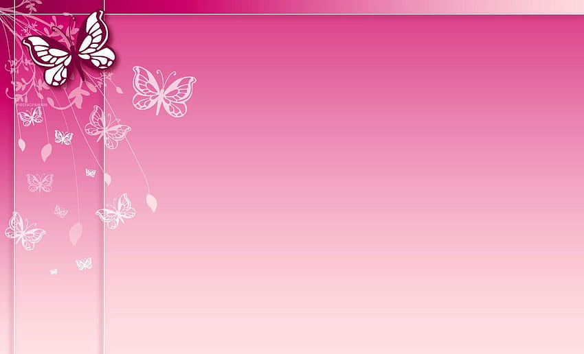 Pink Backgrounds Group, różowe tło Lucu Tapeta HD