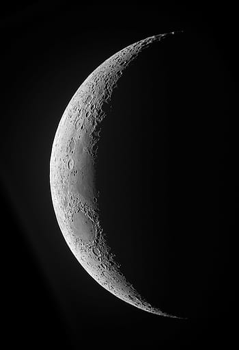 Waning crescent moon Royalty Free Vector Image