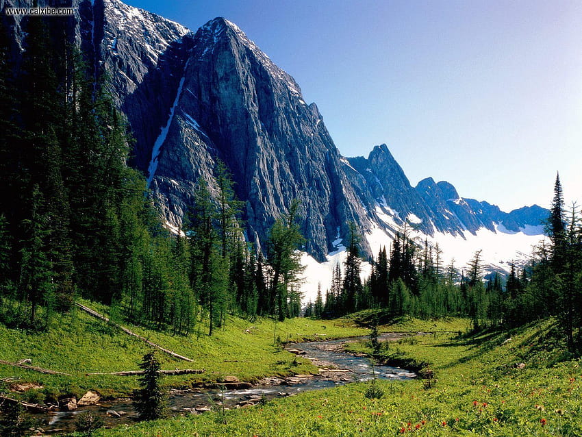 Nature Winding Stream, Banff National Park, Alberta, Canada HD