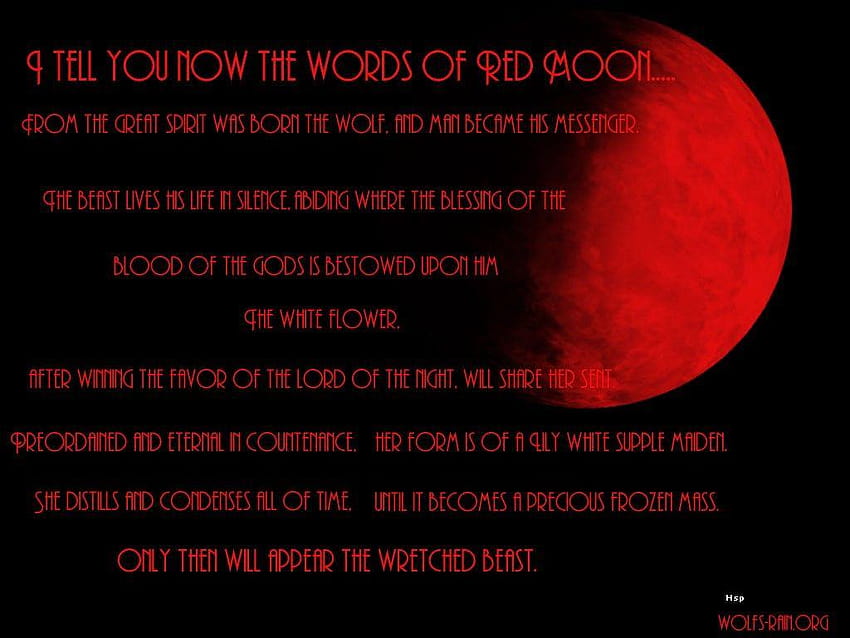 Other Animal Moon Words Red Wolf Wisdom Wolves Backgrounds HD wallpaper