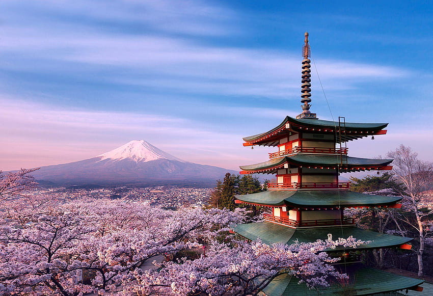 Flor de cerezo del monte Fuji: flor 3d y abstracta, monte fuji fondo de pantalla