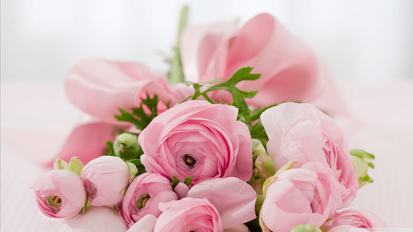 Bouquet da sposa con fiori rosa Sfondi Ultra per U TV: e UltraWide e laptop: display multiplo, doppio monitor: tablet: smartphone, fiori artificiali da sposa Sfondo HD