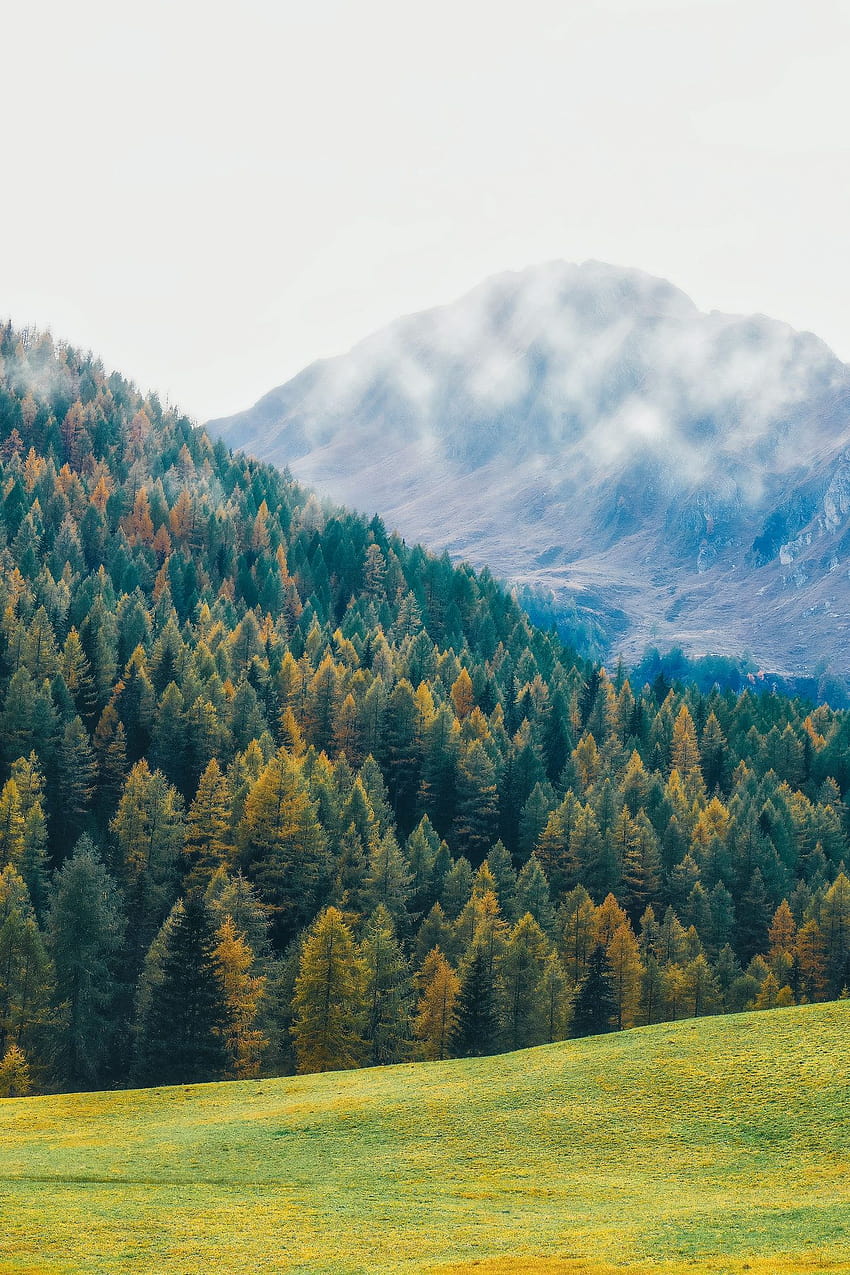 Beautiful nature and landscape, autumn dolomites italy HD phone wallpaper