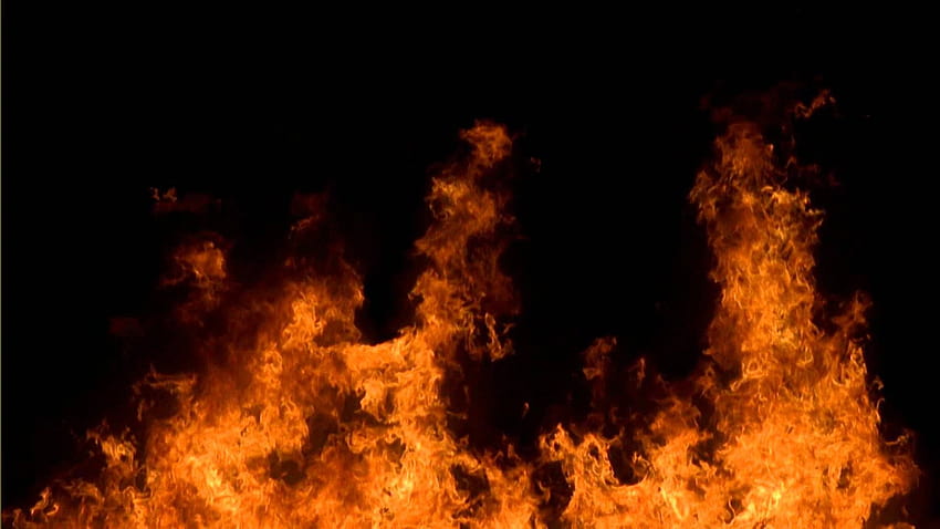Efek Layar Hitam Api BG, efek api Wallpaper HD