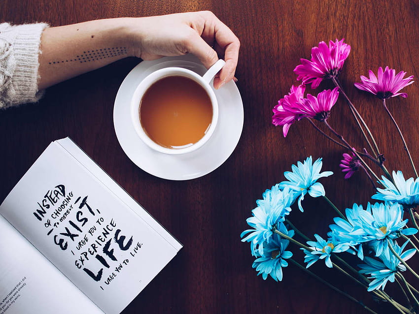 15 citations de café et idées de légendes pour Instagram, fleurs de café d'automne Fond d'écran HD