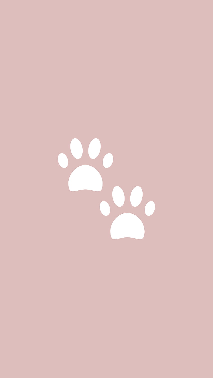 paws instagram highlight cover HD тапет за телефон
