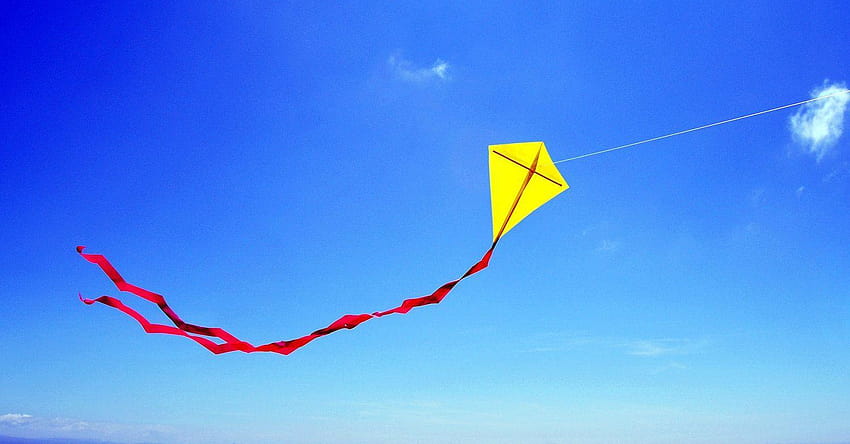 Person Flying Kite, of flying kite HD wallpaper