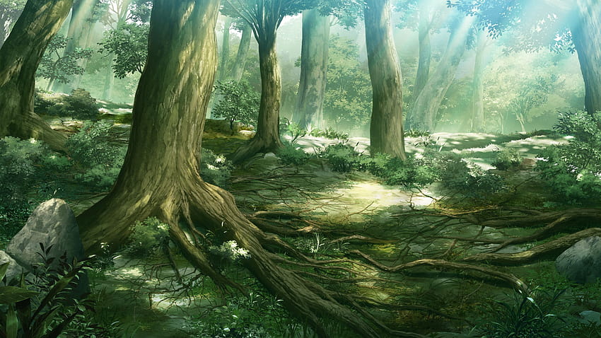 Anime Las Tła, leśne anime Tapeta HD