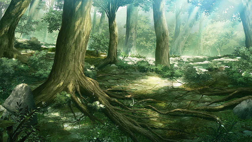 Fundos de floresta de anime, anime de floresta papel de parede HD