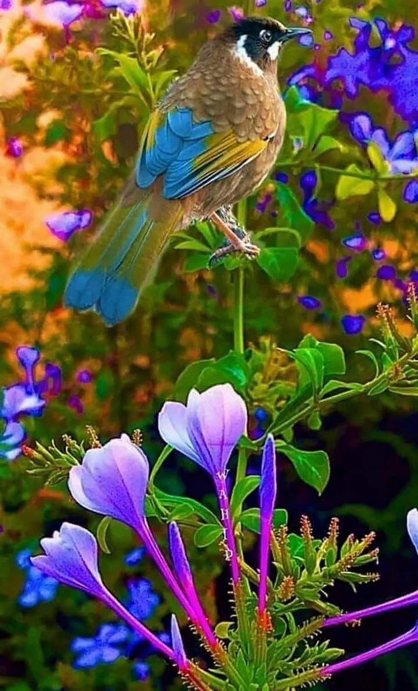 Bel oiseau et fleur, perroquets et fleurs Fond d'écran de téléphone HD