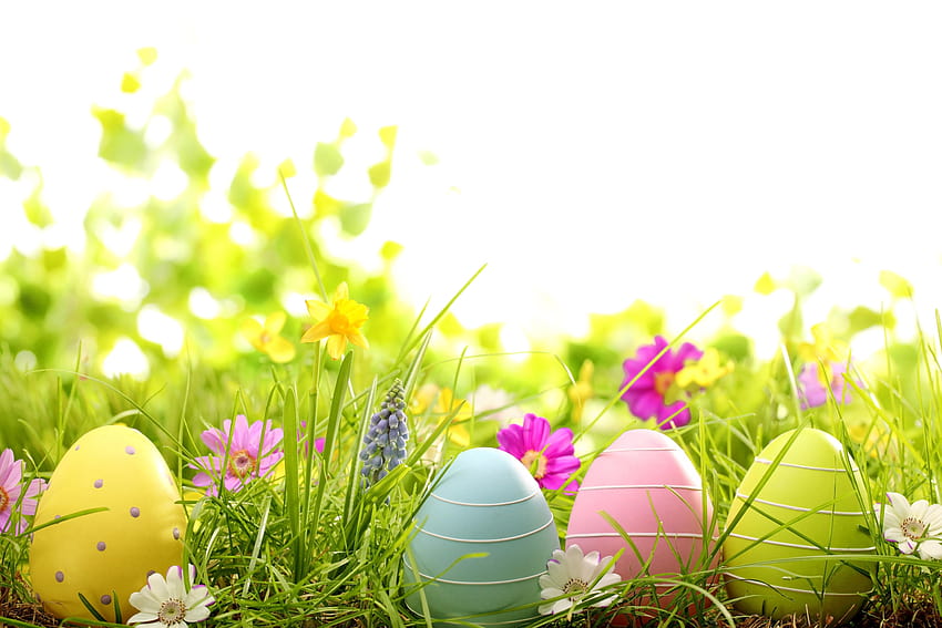 easter spring flowers eggs painted grass [6270x4180] for your , Mobile & Tablet, easter flowers HD wallpaper