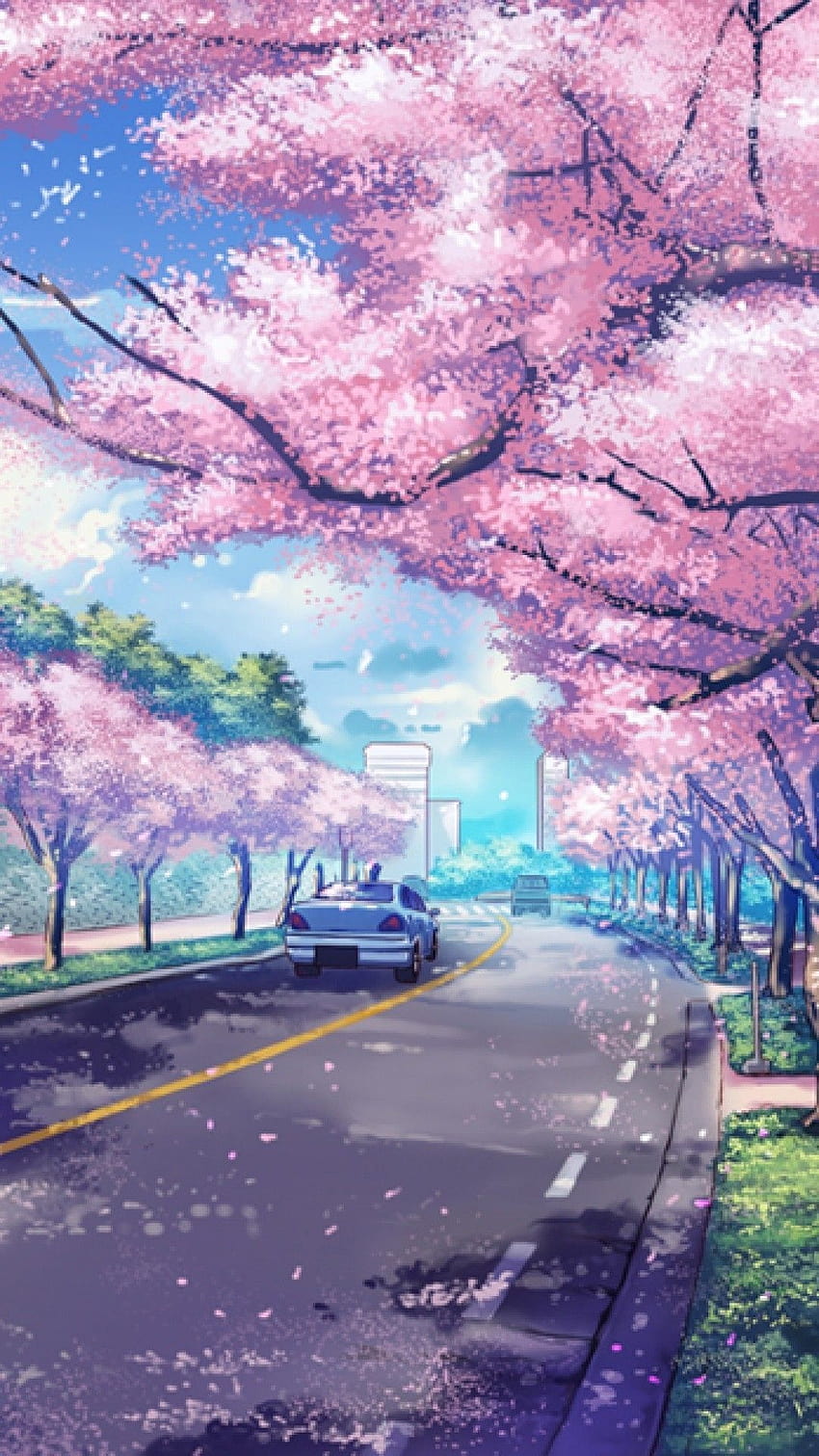 Cute Cherry Blossoms Anime Scenery, cherry blossoms aesthetic HD phone wallpaper