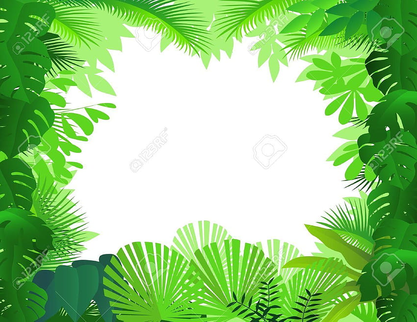 Rainforest clipart backgrounds, tropical background HD wallpaper