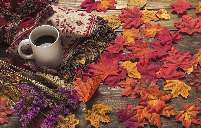 秋、葉、花、背景、木、コーヒー、カラフル、スカーフ、カップ、木、背景、秋、葉、カップ、コーヒー、秋、セクション настроения、秋のスカーフ 高画質の壁紙