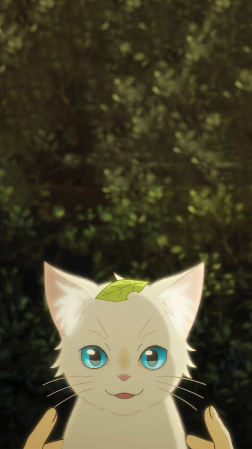 Poster Menina de Gato de Anime Bonita