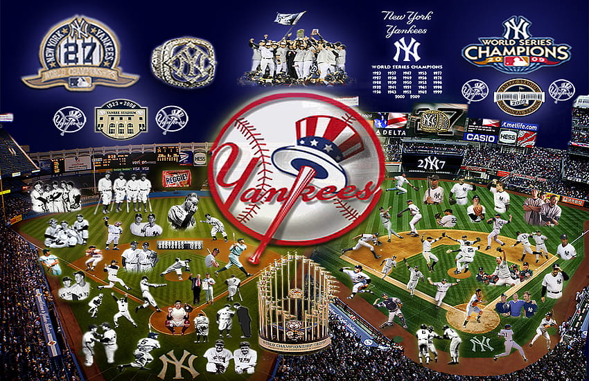 Yankees on Dog, new york yankees 2022 HD wallpaper