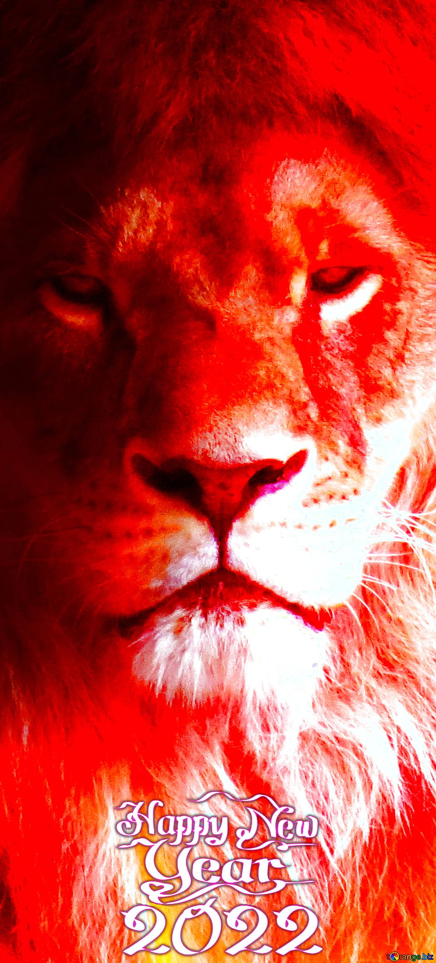 A Fire lion Happy New Year 2022 vertical banner backgrounds on CC, vertical 2022 new year HD phone wallpaper