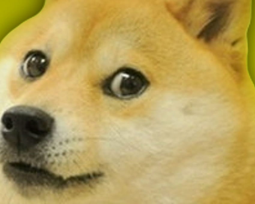 Doge Meme Iphone Doge [1920x1080 HD wallpaper | Pxfuel